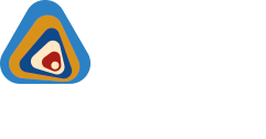 Amida Software